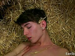 Søde drenge knepper i høloftet