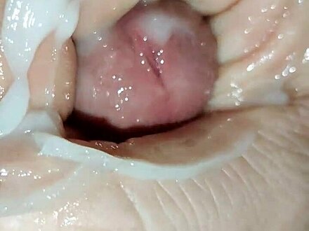 gayfucktube.xxx