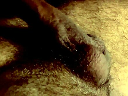 gayfucktube.xxx